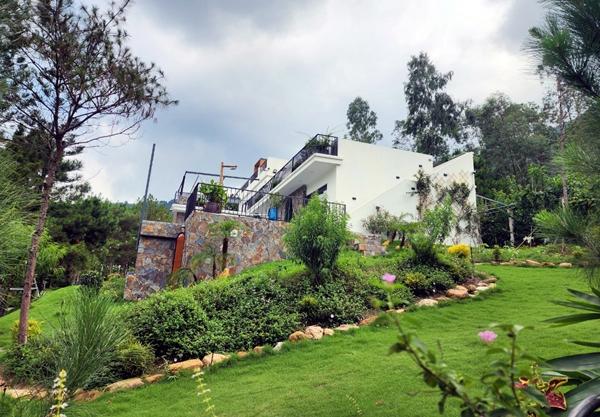 3 năm sau thanh tra, thêm loạt biệt thự, homestay vi phạm trên đất rừng Sóc Sơn-1