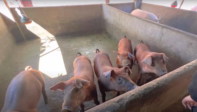 Sắp tái hôn cùng chồng cũ sau 5 năm chung sống, ca sĩ Siu Black sống trong căn nhà thế nào?-8