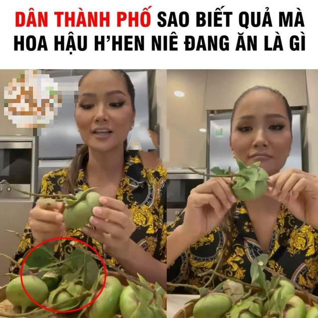 Loại quả Hoa hậu H’Hen Niê cầm khiến nhiều người tò mò về tên gọi, càng bất ngờ hơn với giá-1