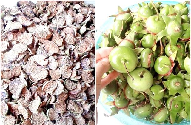 Loại quả Hoa hậu H’Hen Niê cầm khiến nhiều người tò mò về tên gọi, càng bất ngờ hơn với giá-2