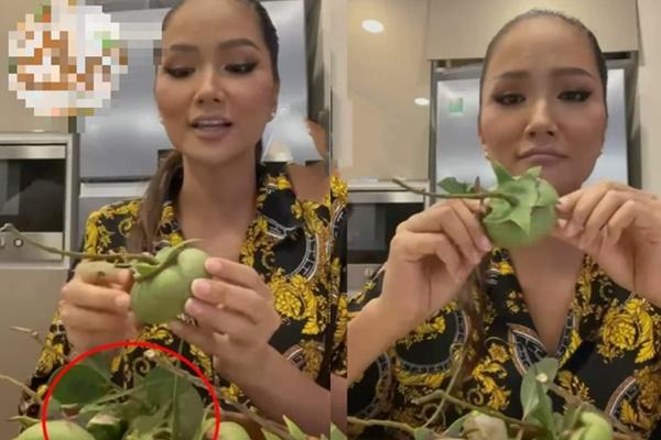 Loại quả xấu xí - ngón tay quỷ, có gì đặc sắc mà có tiền chưa chắc mua được-4