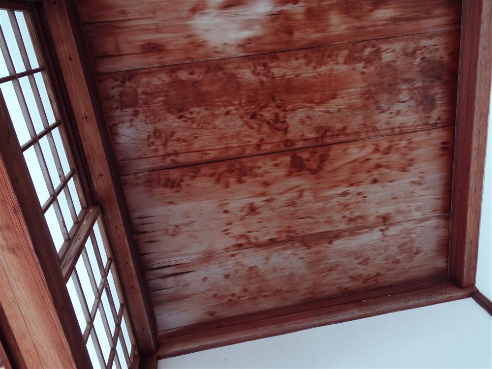 Bí ẩn những ngôi đền có trần dính máu ở Nhật Bản-1