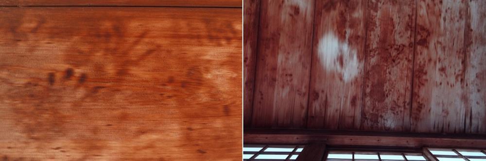 Bí ẩn những ngôi đền có trần dính máu ở Nhật Bản-4