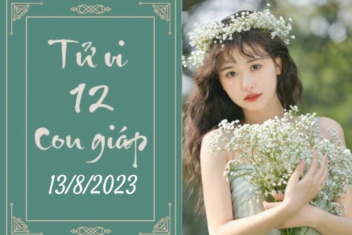 Tử vi vui 12 con giáp hôm nay ngày 13/8/2023: Mão cơ hội, Ngọ bế tắc-1