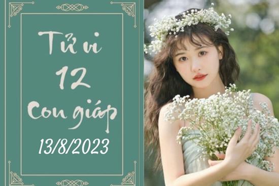 Tử vi vui 12 con giáp hôm nay ngày 13/8/2023: Mão cơ hội, Ngọ bế tắc