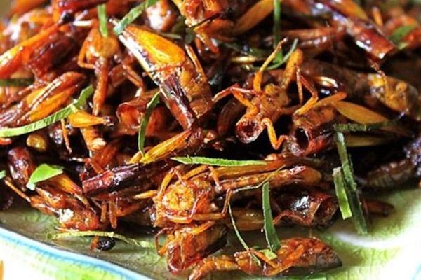 Người phụ nữ ở Nghệ An tử vong sau khi ăn một con châu chấu rang-1