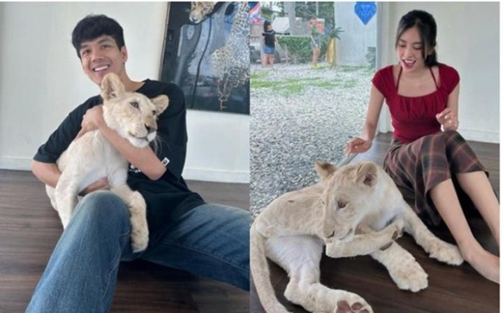 Hoa hậu Tiểu Vy vướng tin đồn hẹn hò tài tử Thái Lan Nicky Nachat, ê-kíp nói gì?-1