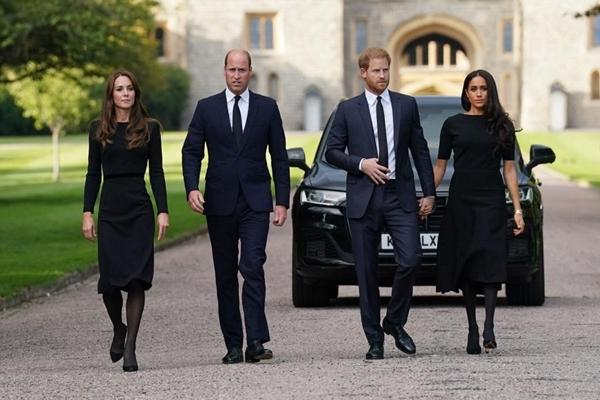 Harry và Meghan bị ghét trên TikTok-1
