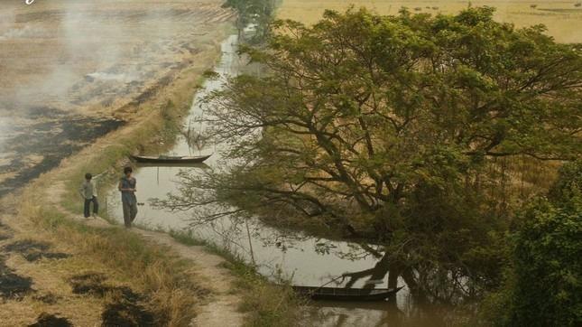 Đất rừng Phương Nam của Nguyễn Quang Dũng đang gây tranh cãi-4