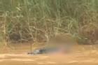 Kinh hoàng: Người phụ nữ bị cá sấu ăn thịt khi tắm sông