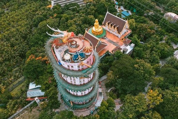 Tất tần tật về các loại rồng thật trên Trái đất-6