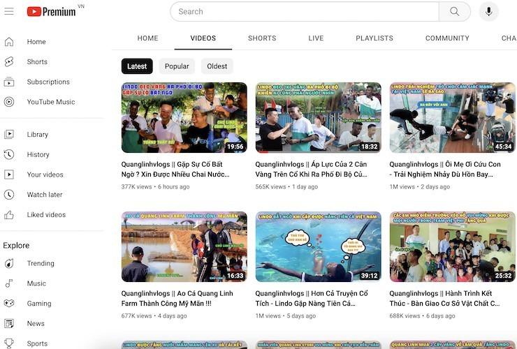 Quang Linh Vlogs mỗi ngày đăng 1 video, hút 3,69 triệu người theo dõi-1
