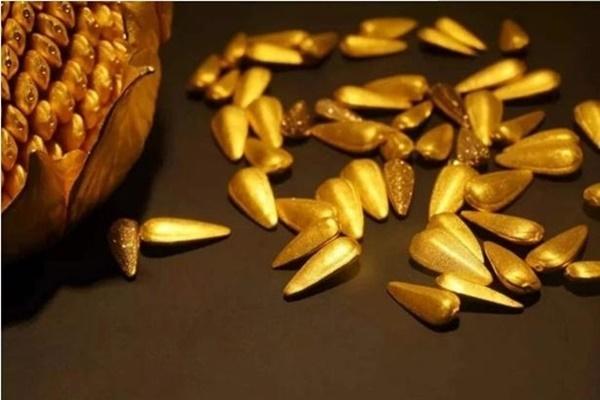 3 lý do khiến hoàng đế Ung Chính chưa một lần rời khỏi kinh thành-3