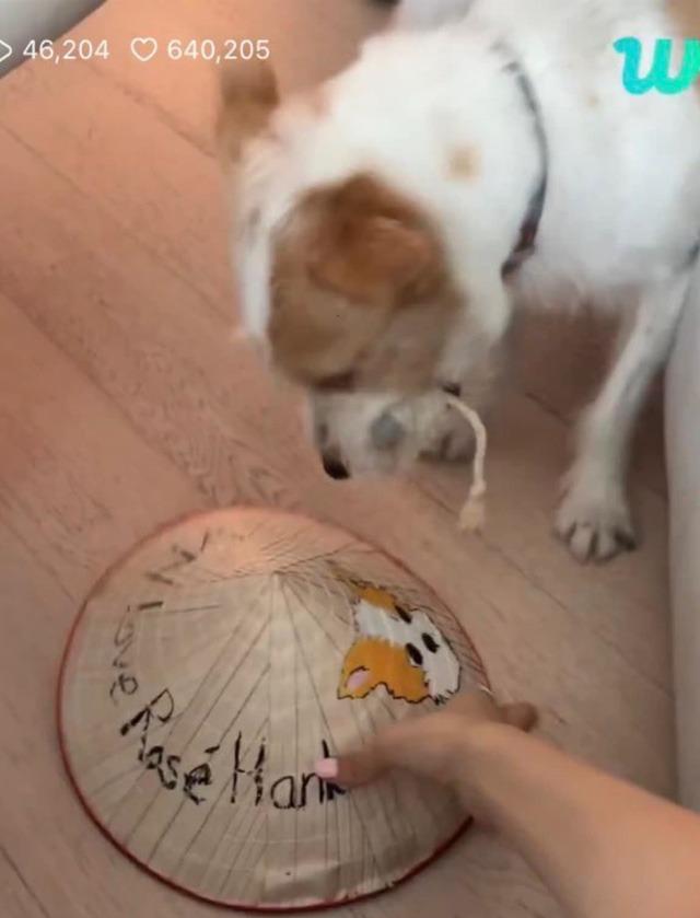 Con dâu Việt Nam Rosé đội nón lá ở concert Mỹ, BLINK Việt nức lòng chia sẻ rần rần-8