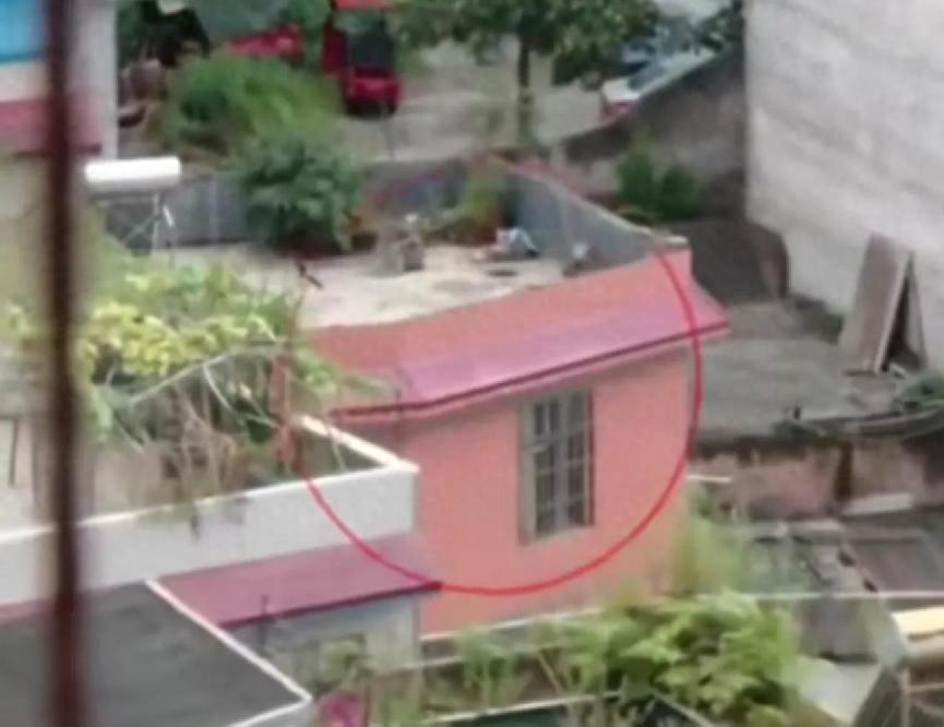 Con gái bị bắt cóc năm 3 tuổi, 17 năm sau gia đình bàng hoàng phát hiện con sống bên kia đường-4