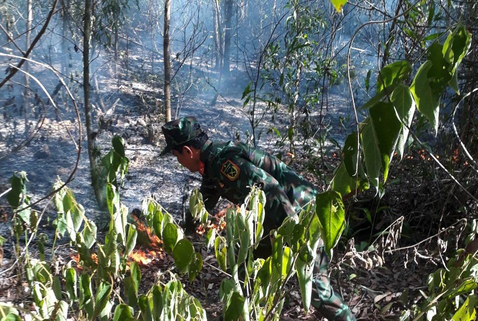 Gần 100 người tham gia dập đám cháy rừng ở Quảng Ngãi-1