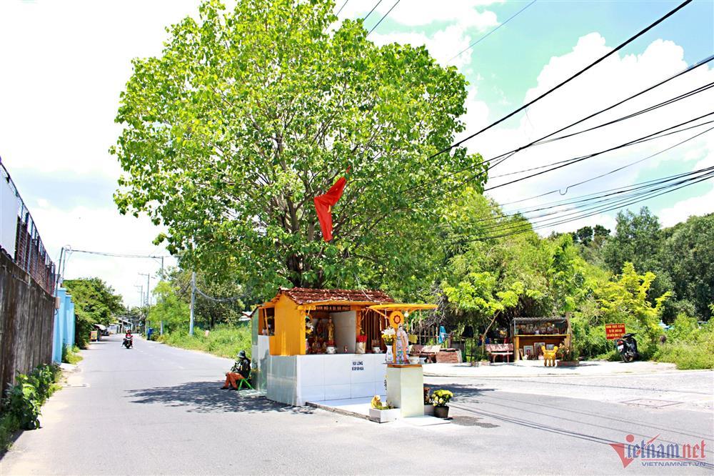 Bí ẩn ngôi miếu nằm giữa ngã ba đường khiến nhiều người đến khấn vái-1