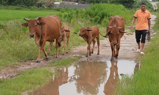 Sau 3 năm yêu nhau, Đoàn Văn Hậu chuẩn bị căn nhà thế nào khi sẽ chung sống với Doãn Hải My?-21