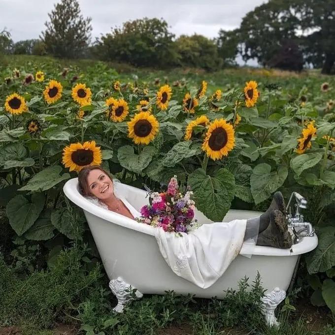 Anh: Khách chụp khỏa thân với hoa hướng dương khiến chủ trang trại đau đầu-3
