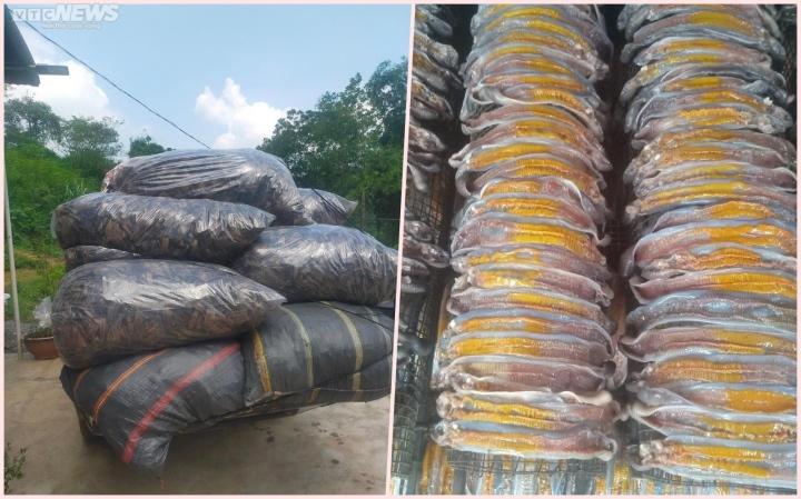 Trước giun đất, thương lái Trung Quốc thu gom kỳ lạ, tạo cơn sốt ảo ở Việt Nam thế nào?-4