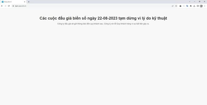 Trang đấu giá biển số ô tô tê liệt, nhiều người không thể truy cập-1