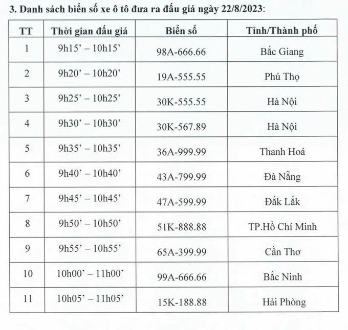 Trang đấu giá biển số ô tô tê liệt, nhiều người không thể truy cập-2