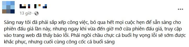 Trang web đấu giá biển số đẹp bị sập vì quá tải - Lý do khó chấp nhận-4