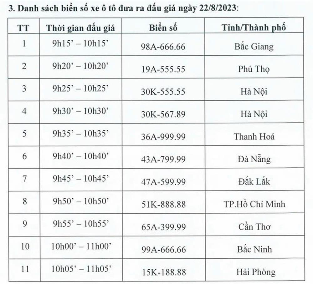 Trang web đấu giá biển số đẹp bị sập vì quá tải - Lý do khó chấp nhận-6