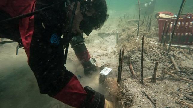 Ngôi làng cổ nhất châu Âu hiện ra giữa hồ sau 8.000 năm mất tích-1