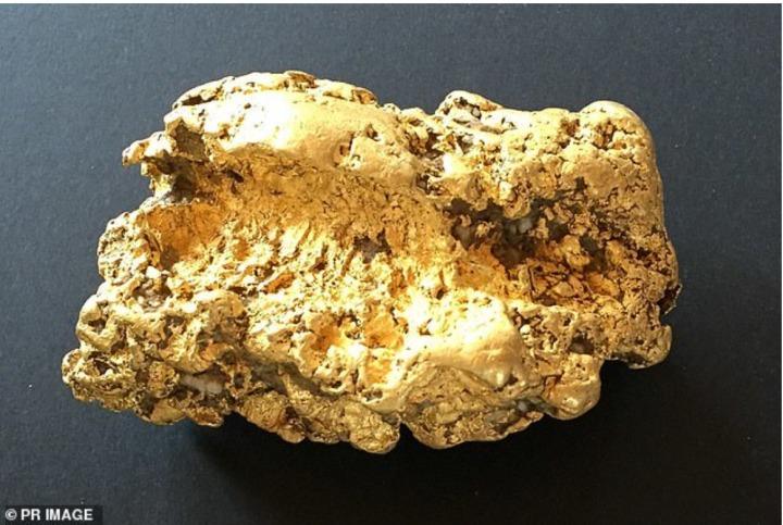 Đi cắm trại ở ngoại ô, người đàn ông đổi đời nhờ nhặt được kho báu gần 2,5 tỷ-1