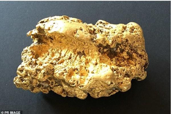 Phát hiện kho báu trị giá cả chục tỷ đồng trong lúc đào đất tìm đồ cho bạn-2