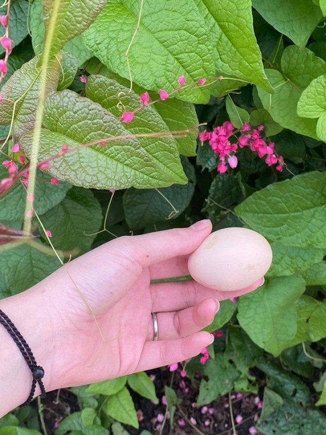 Shark Hưng bất ngờ khoe không gian nhà mới cực sang trọng và hiện đại-21