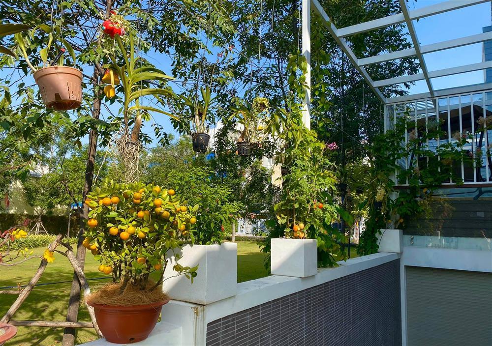 Nhận xế hộp 5,5 tỷ mừng tuổi 52, á hậu Trịnh Kim Chi còn từng được tặng nhà hơn 10 tỷ-7