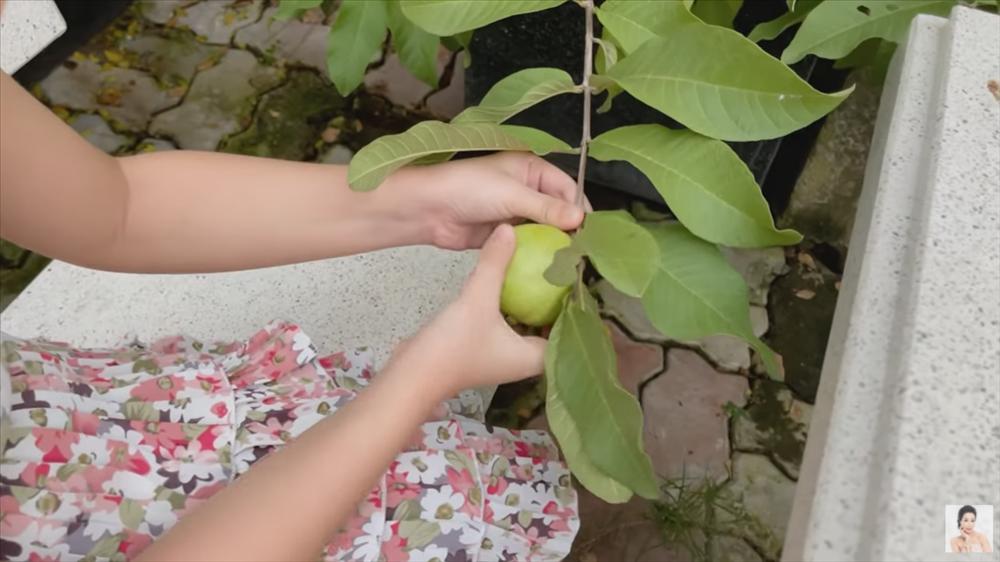 Nhận xế hộp 5,5 tỷ mừng tuổi 52, á hậu Trịnh Kim Chi còn từng được tặng nhà hơn 10 tỷ-23