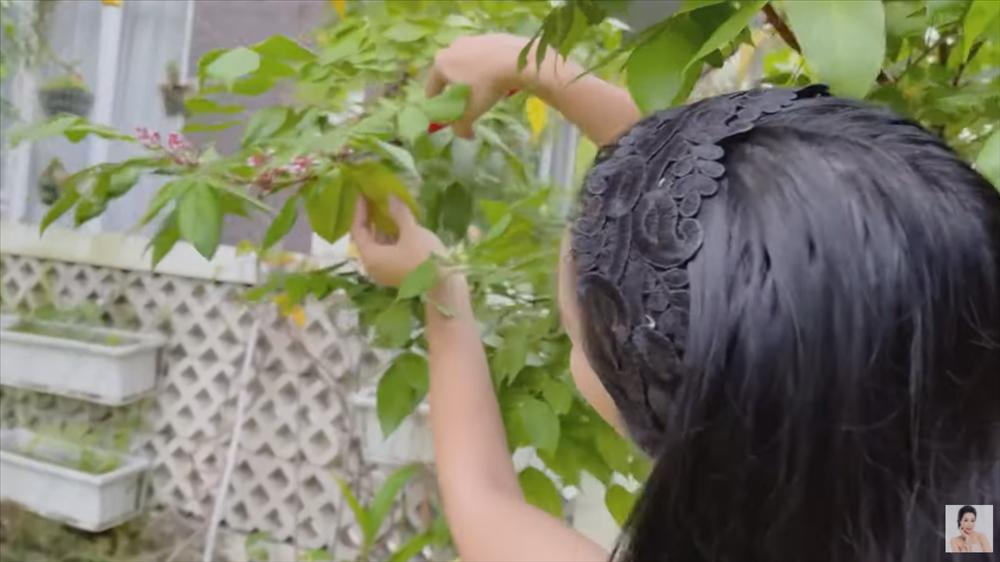 Nhận xế hộp 5,5 tỷ mừng tuổi 52, á hậu Trịnh Kim Chi còn từng được tặng nhà hơn 10 tỷ-25