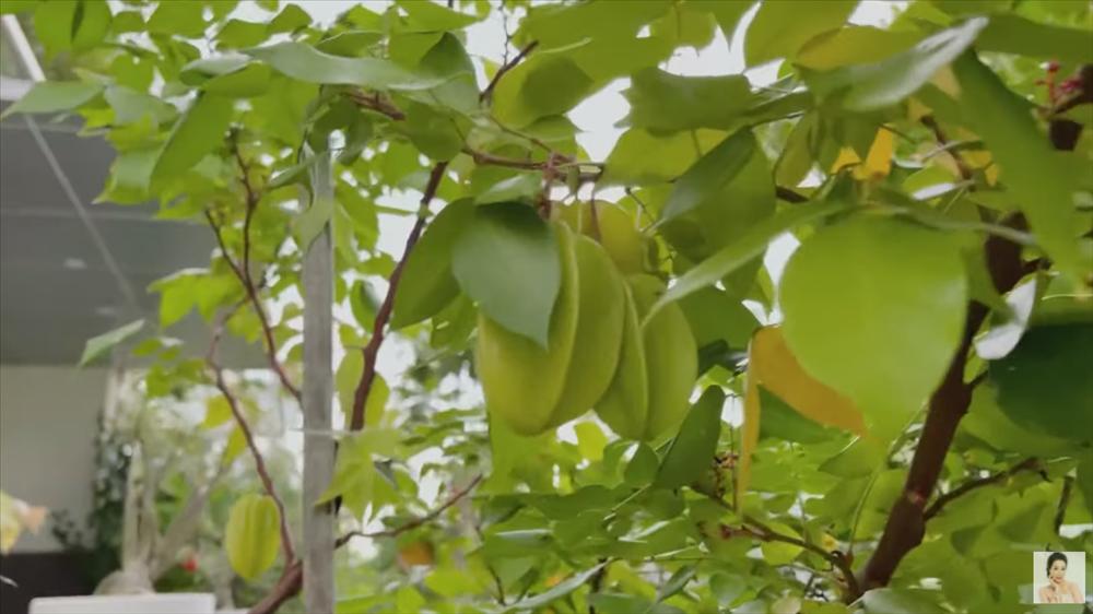 Nhận xế hộp 5,5 tỷ mừng tuổi 52, á hậu Trịnh Kim Chi còn từng được tặng nhà hơn 10 tỷ-26