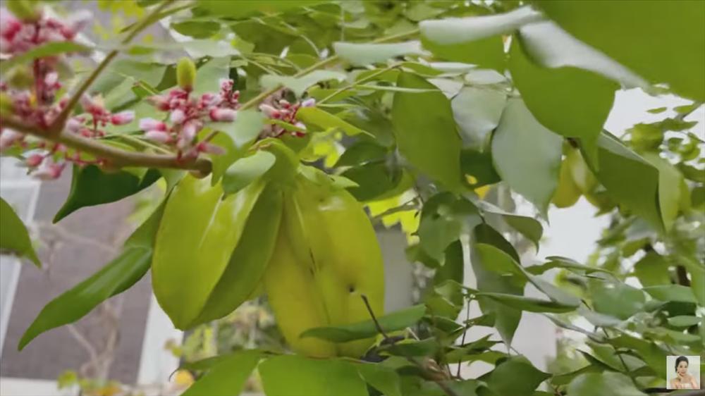 Nhận xế hộp 5,5 tỷ mừng tuổi 52, á hậu Trịnh Kim Chi còn từng được tặng nhà hơn 10 tỷ-27