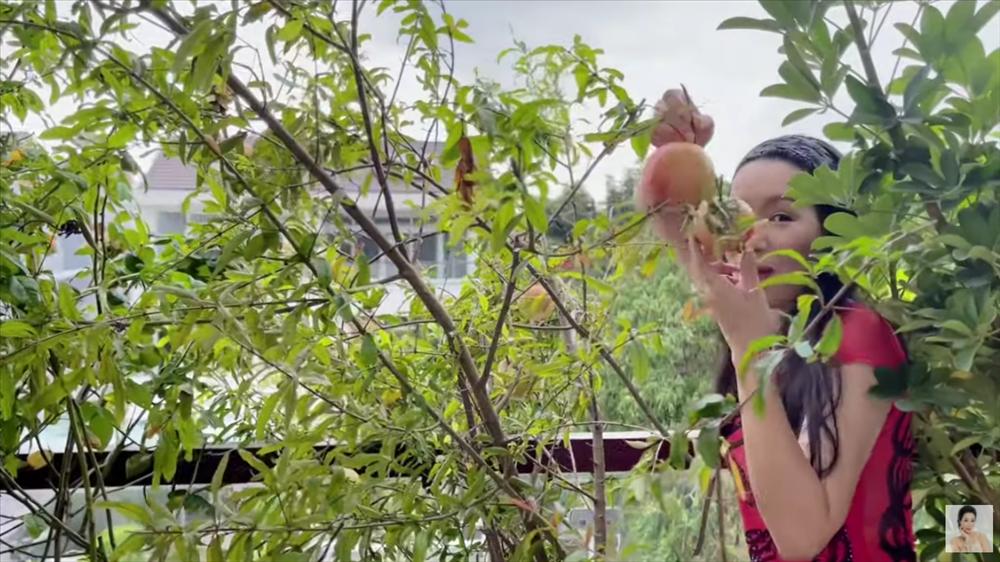 Nhận xế hộp 5,5 tỷ mừng tuổi 52, á hậu Trịnh Kim Chi còn từng được tặng nhà hơn 10 tỷ-34