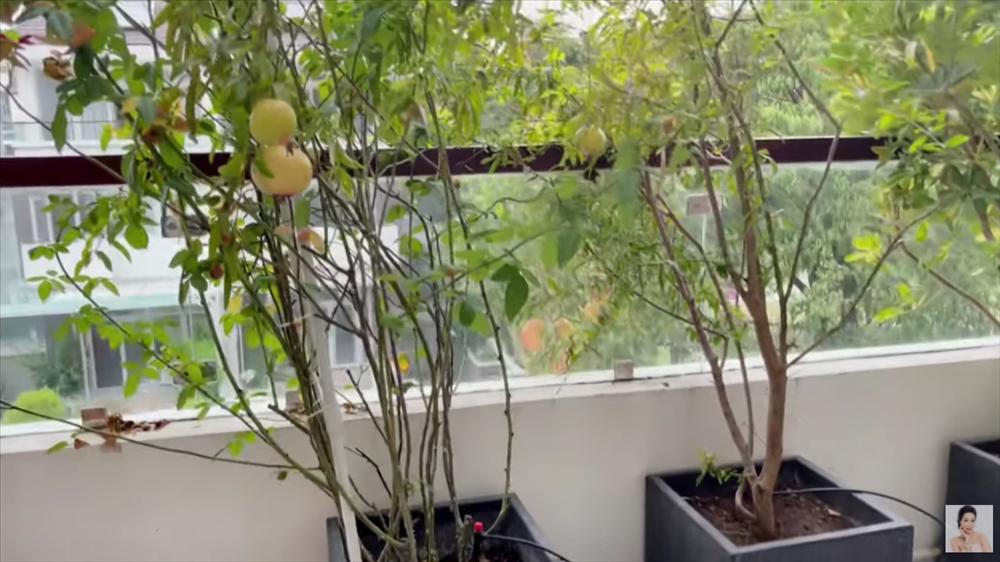 Nhận xế hộp 5,5 tỷ mừng tuổi 52, á hậu Trịnh Kim Chi còn từng được tặng nhà hơn 10 tỷ-35