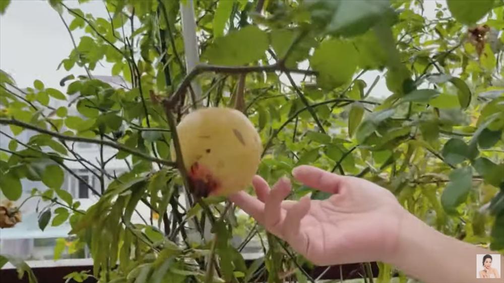 Nhận xế hộp 5,5 tỷ mừng tuổi 52, á hậu Trịnh Kim Chi còn từng được tặng nhà hơn 10 tỷ-36