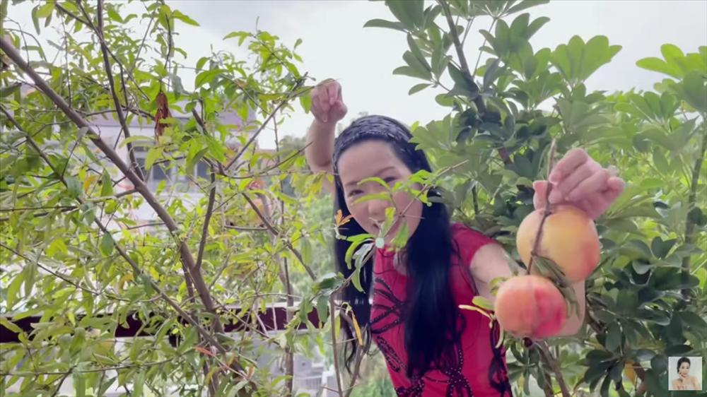 Nhận xế hộp 5,5 tỷ mừng tuổi 52, á hậu Trịnh Kim Chi còn từng được tặng nhà hơn 10 tỷ-37