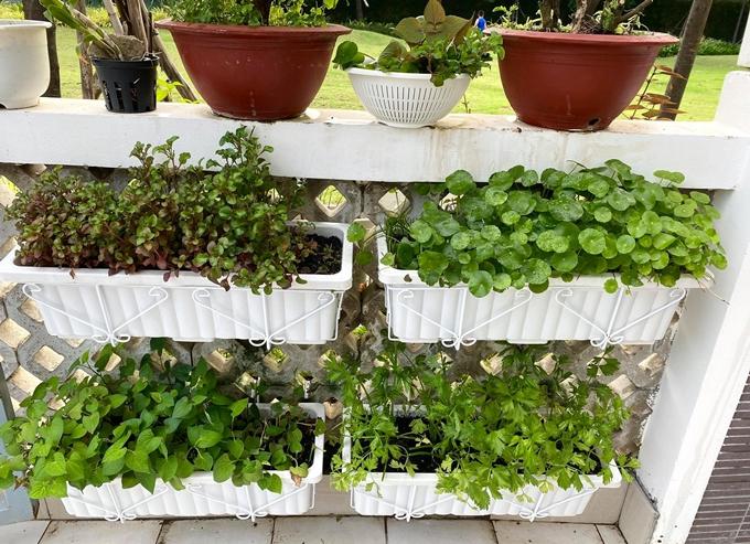 Nhận xế hộp 5,5 tỷ mừng tuổi 52, á hậu Trịnh Kim Chi còn từng được tặng nhà hơn 10 tỷ-43