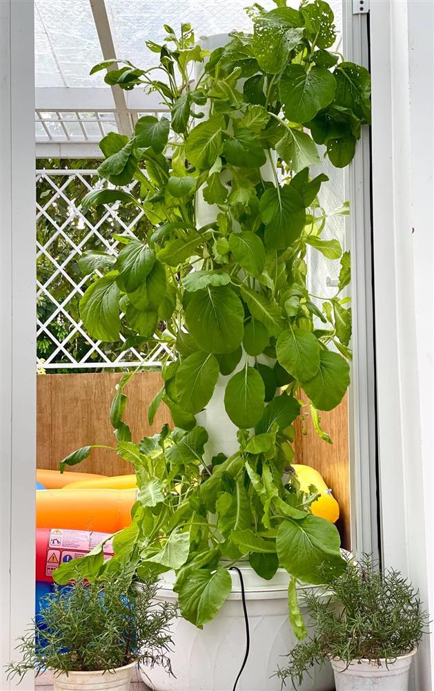 Nhận xế hộp 5,5 tỷ mừng tuổi 52, á hậu Trịnh Kim Chi còn từng được tặng nhà hơn 10 tỷ-44