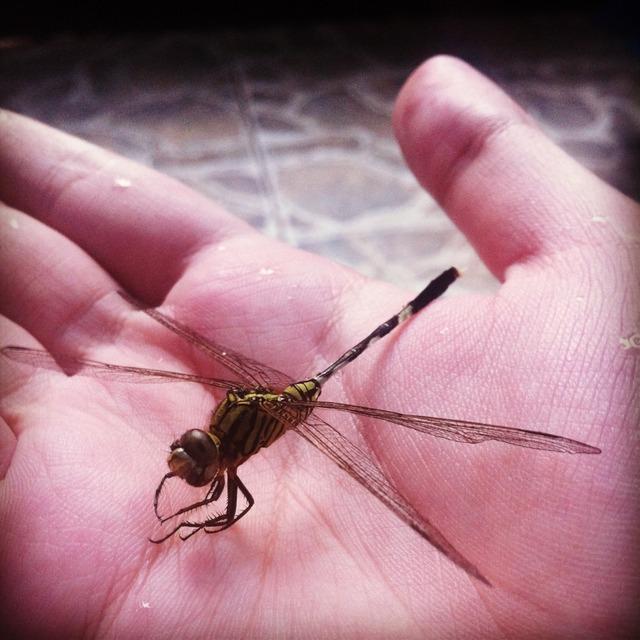 Tháng 7 âm không mê tín nhưng cần tránh 5 việc quen thuộc mà ít người biết-2