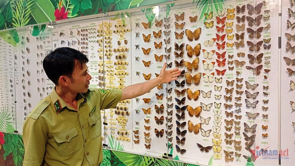 Nơi lưu giữ bộ xương người tiền sử hơn 7.500 năm-5