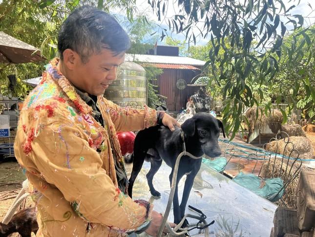 Phóng sinh sai cách là tạo nghiệp-1