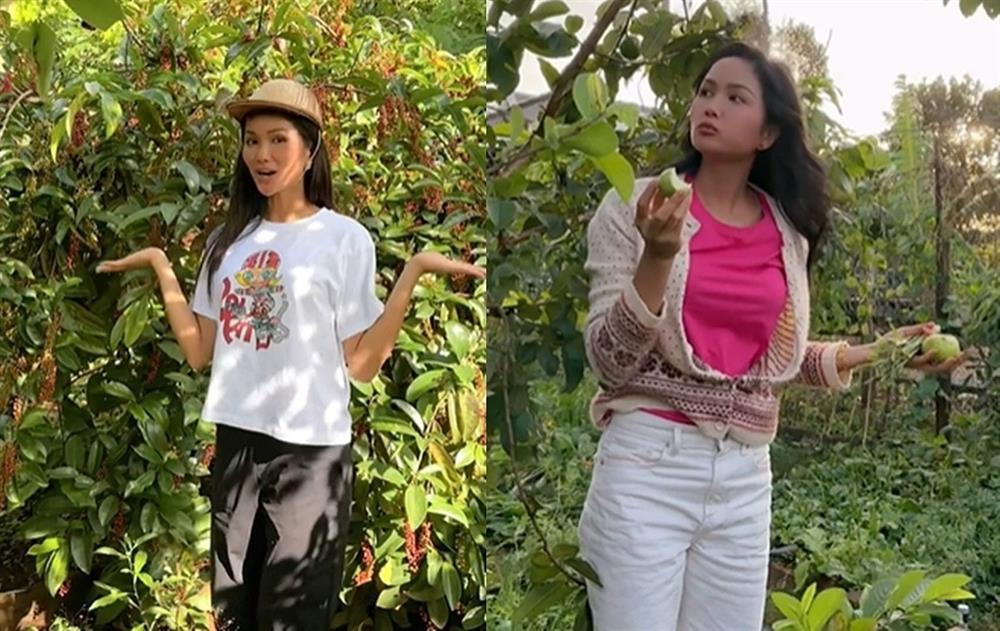 Video HHen Niê về quê nhặt sầu riêng bỗng gây sốt, hút 10 triệu lượt xem-2