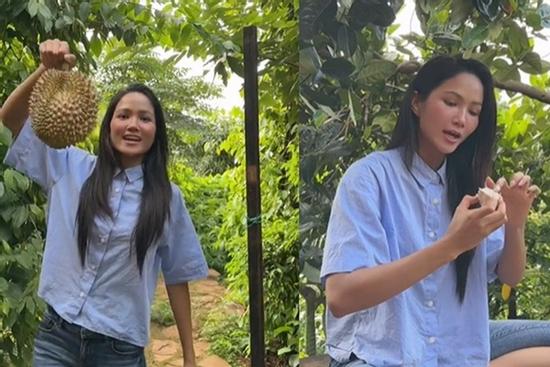 Video H'Hen Niê về quê nhặt sầu riêng bỗng gây sốt, hút 10 triệu lượt xem
