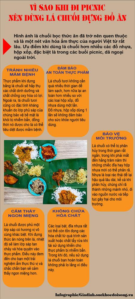 Vì sao nên sử dụng lá chuối bọc thức ăn khi đi picnic?-1