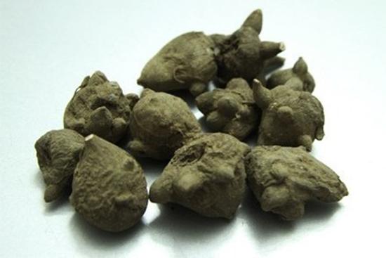 Nguy kịch sau bữa ăn canh xương ninh loại củ quen thuộc